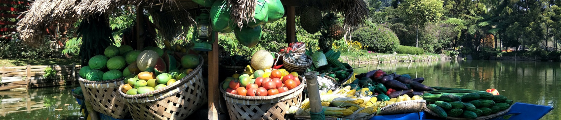 Food Environment